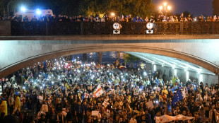 Thousands of Georgians join night-time protest despite warnings