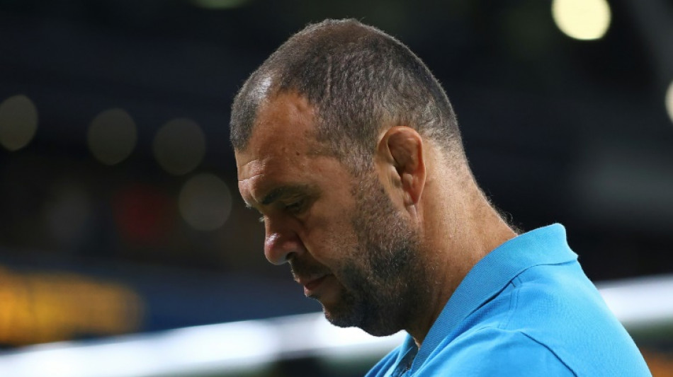 Cheika named as new Argentina coach ahead of World Cup