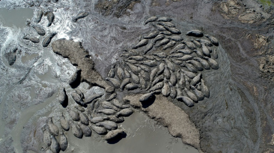 El calentamiento clim&aacute;tico aumenta a un "ritmo sin precedentes", alertan cient&iacute;ficos