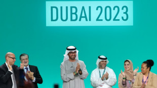 Weltklimakonferenz in Dubai l&auml;utet Abkehr von fossilen Energien ein