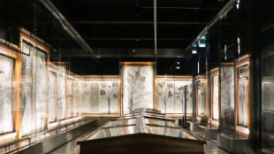 La 'Sala delle Palme' di Padova geo-collezione di rilevanza mondiale