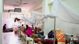 Banglad&eacute;s vive su peor epidemia de dengue con m&aacute;s de 1.000 muertos este a&ntilde;o