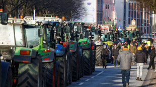 Bauernverband: Getreideernte in diesem Jahr deutlich besser als im Vorjahr
