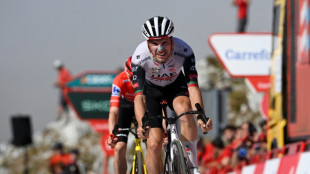 Tour d'Espagne: Almeida devance Vingegaard au sommet de l'Angliru