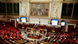 L'Assembl&eacute;e nationale adopte &agrave; l'unanimit&eacute; une r&eacute;solution contre l'accord UE-Mercosur avant des votes cl&eacute;s europ&eacute;ens