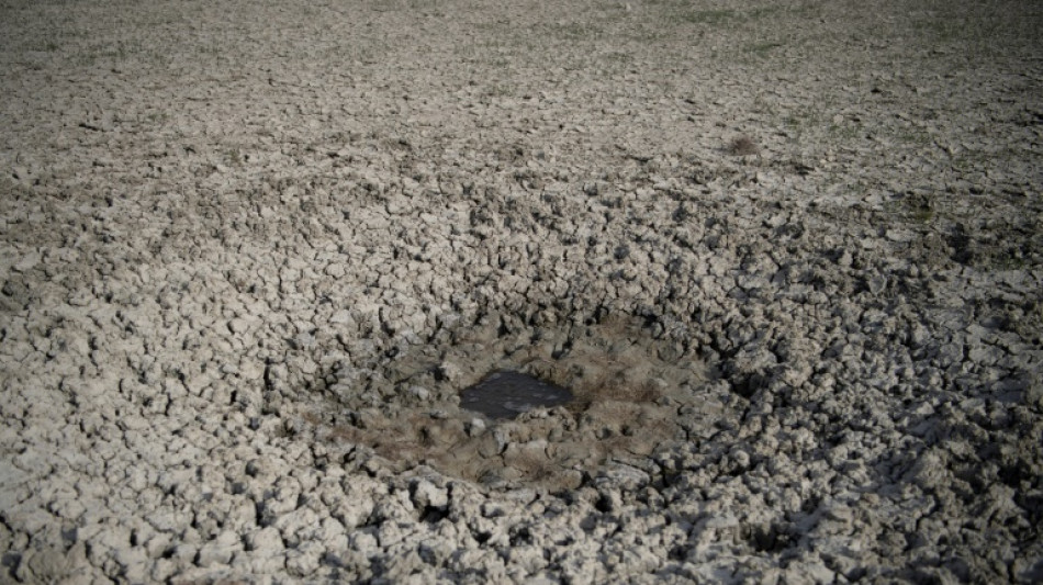 Casi la mitad del territorio de la UE est&aacute; "en riesgo" de sequ&iacute;a, dice la Comisi&oacute;n Europea