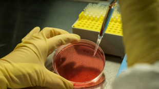 Des scientifiques appellent &agrave; la prudence envers les biotechnologies g&eacute;n&eacute;tiques