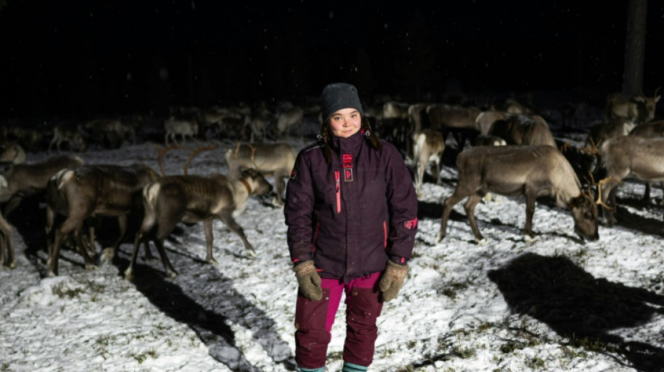 Drones, traditions et poussée du mercure... A l'école des éleveurs de rennes