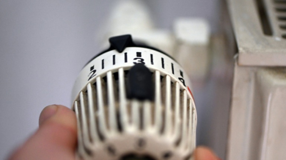 Umfrage: Haushalte wollen st&auml;rker Erneuerbare zum Heizen nutzen