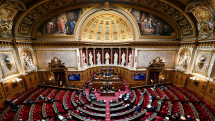 Budget 2024: le S&eacute;nat adopte la partie recettes de l'Etat, sans avoir pleinement convaincu l'ex&eacute;cutif