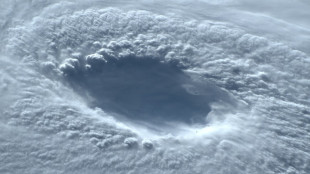 Mindestens vier Tote durch Taifun "Nanmadol" in Japan 