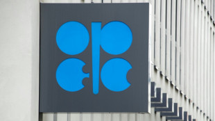 OPEP+ mantiene niveles de producci&oacute;n de petr&oacute;leo en un contexto inestable