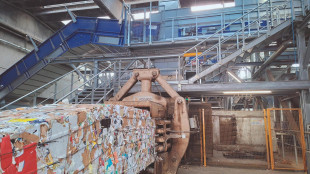 A Torino primo impianto che divide e tratta sei tipi di carta e cartone