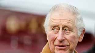 Britische Polizei ermittelt zu Prinz Charles' Wohltätigkeitsstiftung 