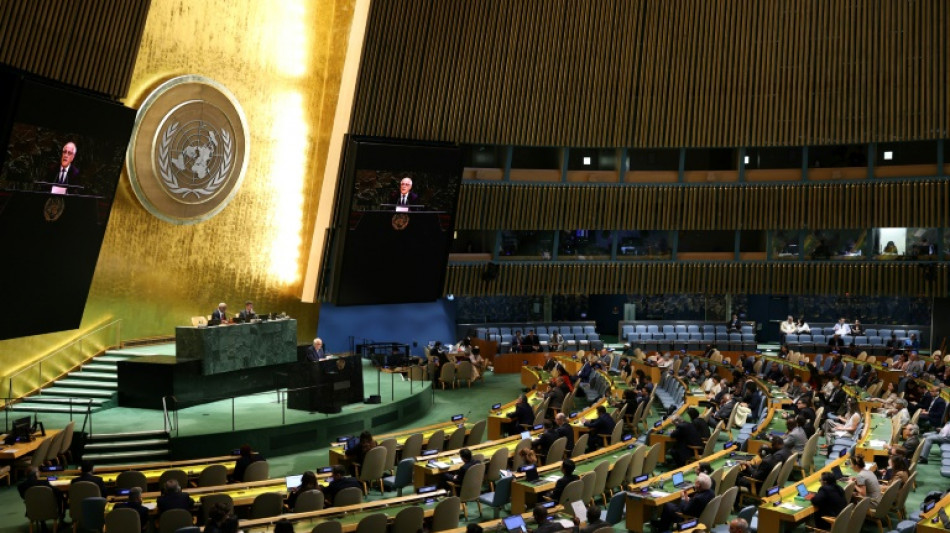 UN-Vollversammlung beschlie&szlig;t "New Yorker Erkl&auml;rung" zur Zweistaatenl&ouml;sung