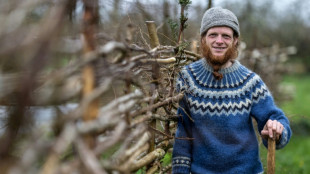 La "vraie richesse" selon Samuel Lewis, paysan-artiste install&eacute; en Bretagne 