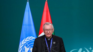 El papa pide que la COP28 sea "un punto de inflexión" para acelerar la transición ecológica
