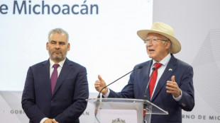 M&eacute;xico e EUA firmam acordo para oferecer seguran&ccedil;a a inspetores de abacate