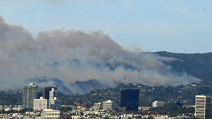 Celebridades fogem de inc&ecirc;ndios perto de Los Angeles e Hollywood cancela eventos