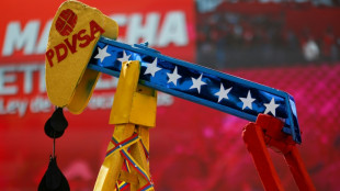 P&eacute;trole: le Venezuela adopte une loi favorable au secteur priv&eacute;, les Etats-Unis l&egrave;vent des sanctions