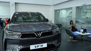E-Auto-Hersteller aus Vietnam steigert Umsatz stark - macht aber weiter Verlust 