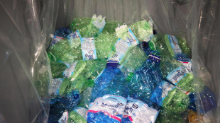 Bottiglie di plastica convertite a paracetamolo grazie a batteri