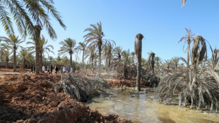 Libye: une montée des eaux souterraines sème l'angoisse dans la ville de Zliten