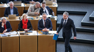 Th&uuml;ringer Landtag: AfD-Fraktion scheitert mit Vorsto&szlig; f&uuml;r Neuwahlen