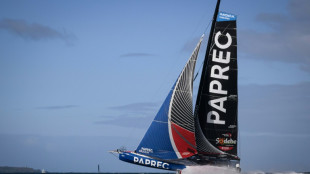 Vend&eacute;e Globe: Dalin dans le sillage de Richomme