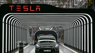 Tesla inaugure sa nouvelle usine allemande