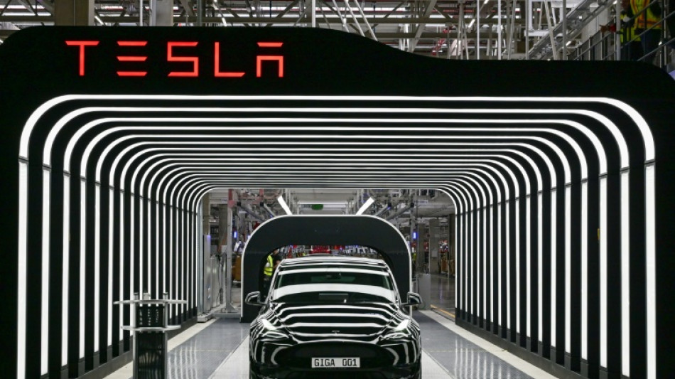 Un groupe d'extr&ecirc;me gauche "sabote" une usine Tesla en Allemagne
