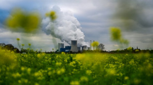Grünen-Politikerin Henneberger: Abschaltung von Kohlekraftwerken "großer Erfolg" 