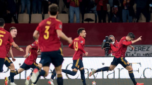 La Roja jugar&aacute; dos amistosos contra Islandia y Albania en marzo