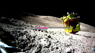 El módulo espacial japonés SLIM sobrevive a una segunda noche lunar