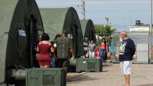 Sao Paulo y Rio de Janeiro, en alerta por dengue en v&iacute;speras del Carnaval