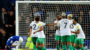 Newcastle afunda Everton (4-1) e se consolida em 3&ordm; na Premier League, Manchester United empata com Tottenham