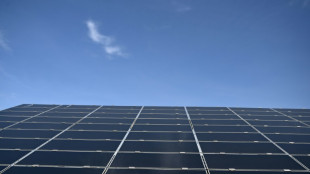 A l'Assembl&eacute;e, un moratoire sur les &eacute;oliennes et panneaux solaires s&egrave;me la zizanie