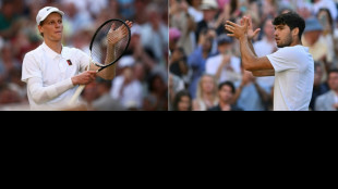 Wimbledon: Djokovic &eacute;limin&eacute;, nouvelle finale Alcaraz-Sinner