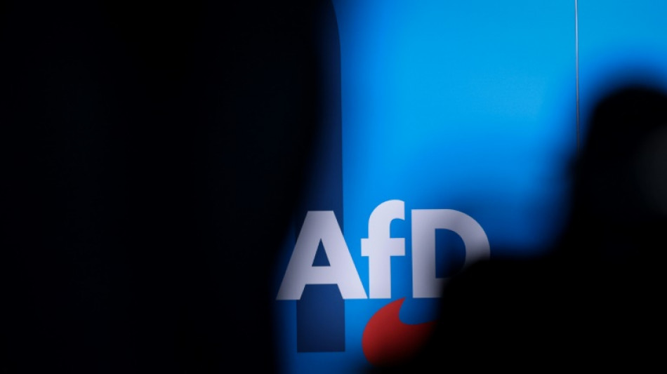 AfD will Abtreibungen weitgehend einschr&auml;nken - Wahlprogramm ver&ouml;ffentlicht
