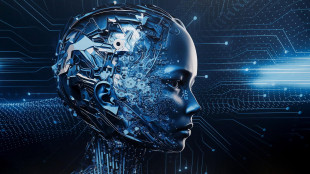 Ecco Minerva, l'IA in italiano che sfider&agrave; ChatGpt