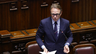Lollobrigida, 8 giugno G7 straordinario Agricoltura per costo fertilizzanti