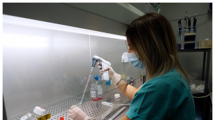 Il Dna estratto dal tartaro svela il volto dell'uomo di Denisova