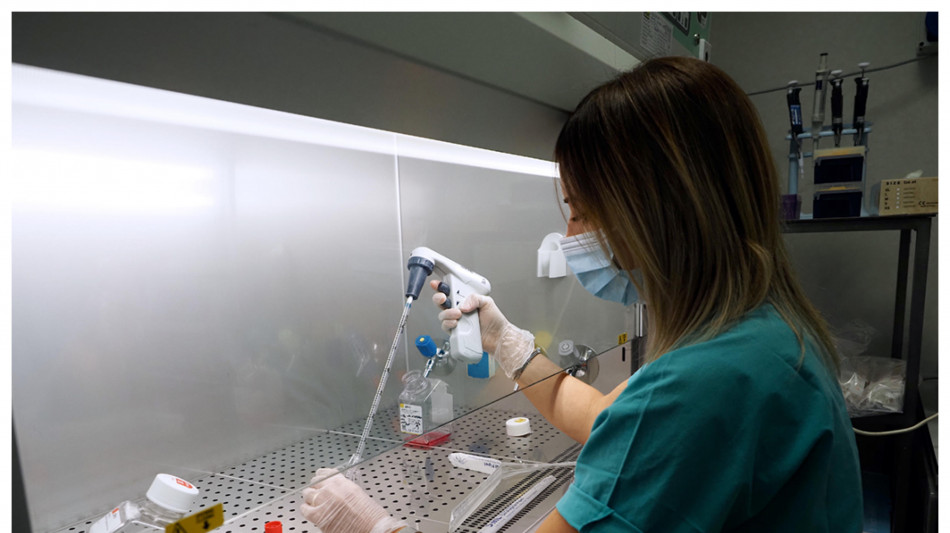 Verso vaccini-jolly e terapie del futuro, con la biologia sintetica