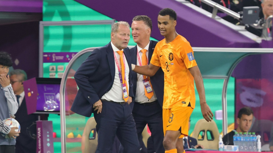 Niederlande zittern sich gegen Ecuador zum Unentschieden