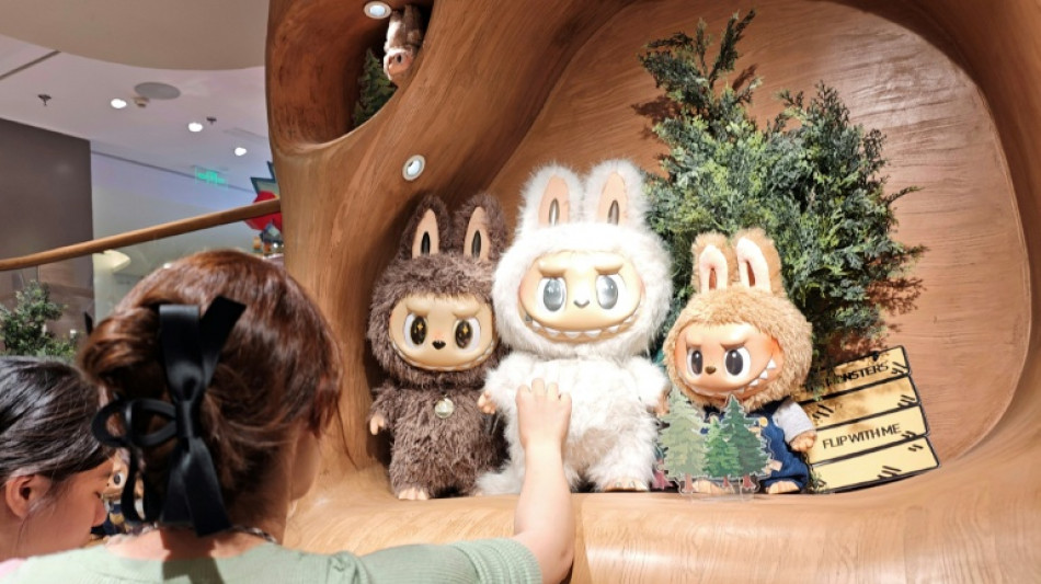 Shanghai police bust gang selling counterfeit Labubu toys