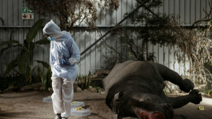 Inside South Africa's wildlife CSI school helping to catch poachers