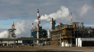 La chimie parie sur les chaudi&egrave;res biomasse pour se d&eacute;carboner et se d&eacute;tacher du gaz