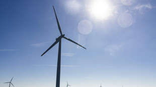 Malgr&eacute; des revers, la production de l'&eacute;olien en mer pourrait tripler entre 2024 et 2030