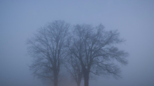 Schwere Nebelunfälle auf deutschen Straßen häufig zum Jahresende