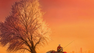 Hit parade, Olly torna in vetta tra gli album, Emma prima tra i singoli